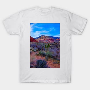 Red Rock Calico Basin 2 T-Shirt